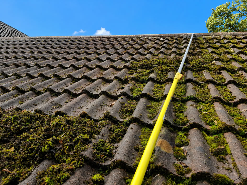 Roof cleaning - moss removal from a roof in UK